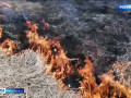 в Смоленской области зафиксировано более 80 палов травы с начала сезона - фото - 1