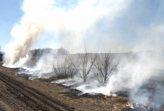 в Смоленской области за год произошло четыре лесных пожара - фото - 1