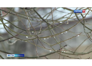 смолян ждут погодные качели в течение нескольких дней - фото - 1