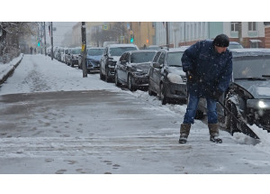 на Смоленщину пришёл Феликс - фото - 1