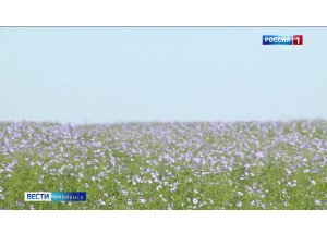 в Смоленской области составят перечень угодий исключительно для сельхозназначения - фото - 1