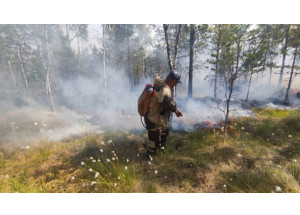 силы лесопожарных формирований смоленщины переведены в режим повышенной готовности - фото - 1