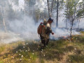 силы лесопожарных формирований смоленщины переведены в режим повышенной готовности - фото - 1