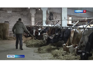 в Смоленской области опросят 800 фермеров - фото - 1