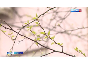 похолодание на Смоленщине продлится до конца недели - фото - 1