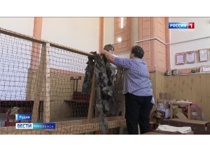 в Смоленской области добровольцы подготовили около 27 тысяч 1500 масксетей - фото - 1