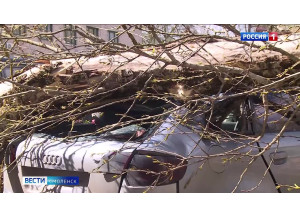как в Смоленской области борются с последствиями ураганного ветра - фото - 1
