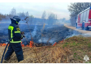 за выходные в Смоленской области произошло 26 палов травы - фото - 1