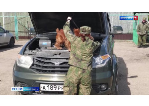 в Смоленской области проходят кинологов пяти таможен - фото - 1