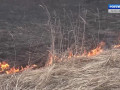 за выходные в Смоленской области произошло 26 палов травы - фото - 1