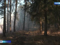 на Смоленщине установился 3-й класс пожарной опасности - фото - 1