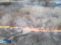 за первые дни мая в Смоленской области зафиксировано более 90 палов травы - фото - 1