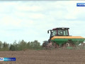 яровой сев зерновых на Смоленщине превысит 90 тысяч гектаров - фото - 1