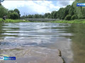 на каких водоемах Смоленска официально разрешат купаться в 2026 году - фото - 1