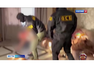 ущерб – почти 15 миллионов рублей. Смолянин заключён за незаконную вырубку леса - фото - 1