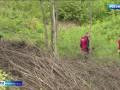 смоляне сразились в экологическом квесте - фото - 1