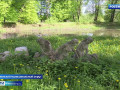 в Смоленской области дамы и кавалеры встретились на традиционном балу - фото - 1