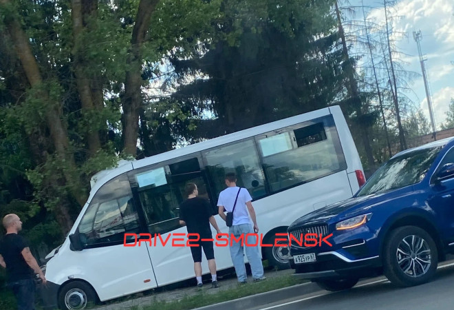 смоленский Минздрав прокомментировал состояние пострадавших в ДТП с маршруткой - фото - 1