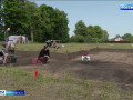 под Смоленском археологам в раскопках помогают бионические питомцы - фото - 1