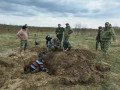 в Смоленской области перезахоронили более 300 солдат Великой Отечественной войны - фото - 1