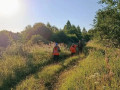настоящая спасательная операция. В "Сальваре" рассказали о четырёхдневных поисках пожилого грибника - фото - 1
