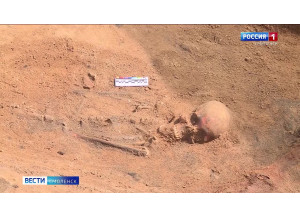 сенсационная находка. Археологи обнаружили под Смоленском богатейшее древнее захоронение - фото - 1