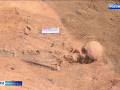 сенсационная находка. Археологи обнаружили под Смоленском богатейшее древнее захоронение - фото - 1