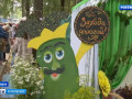 «его величество — Огурец!» Как смоляне отметили гастрономический праздник в Демидове - фото - 1