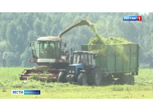 смоленские аграрии рассказали о ходе летней уборочной кампании - фото - 1
