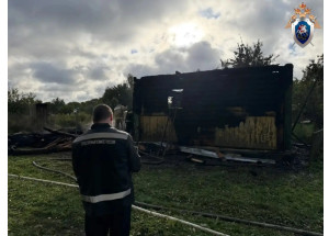 следком начал проверку по факту смертельного пожара в Смоленской области - фото - 1