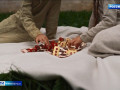 жители Смоленской области могут принять участие в бесплатных обучающих мастер‑классах - фото - 1