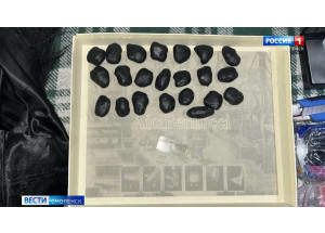 16 свёртков с марихуаной обнаружили во время обыска у жителя Смоленской области - фото - 1